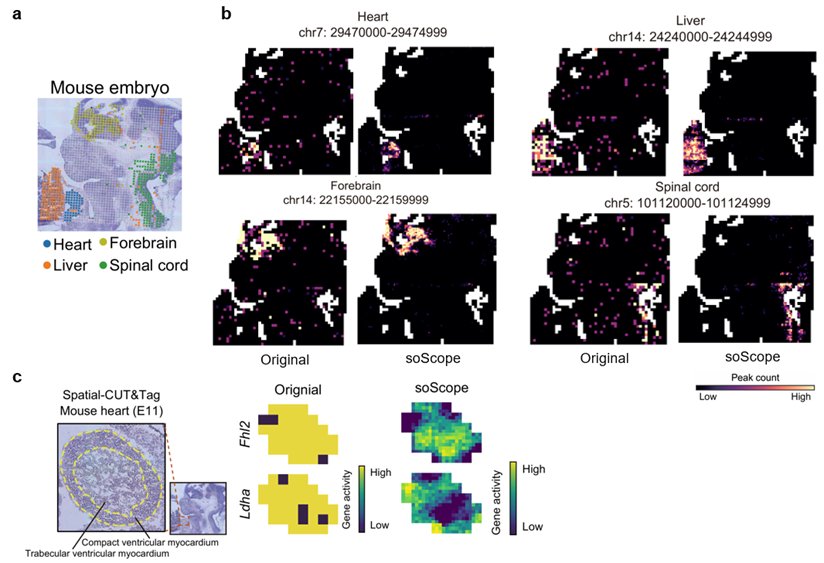 基于团队在多模态数据融合（Natur