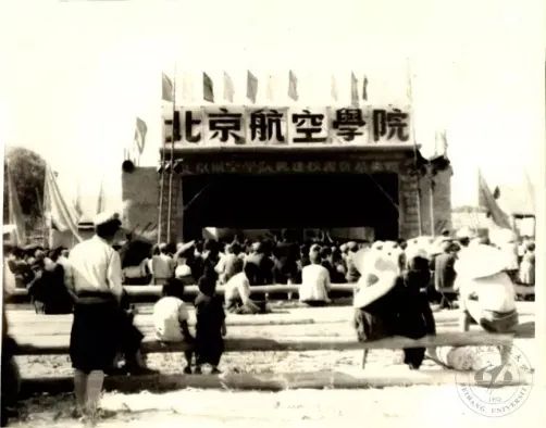 56442)