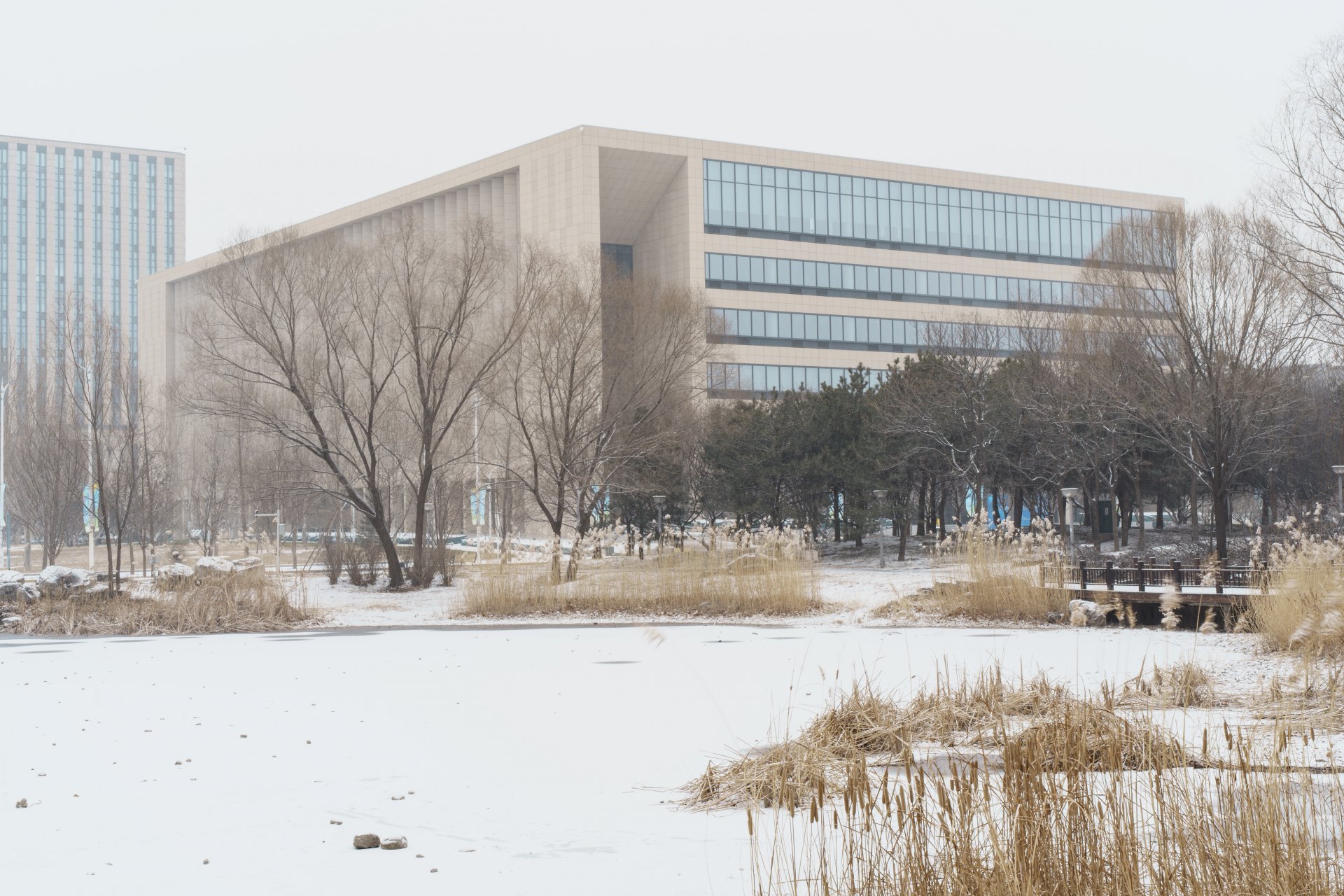 今冬的第一场雪落在北航