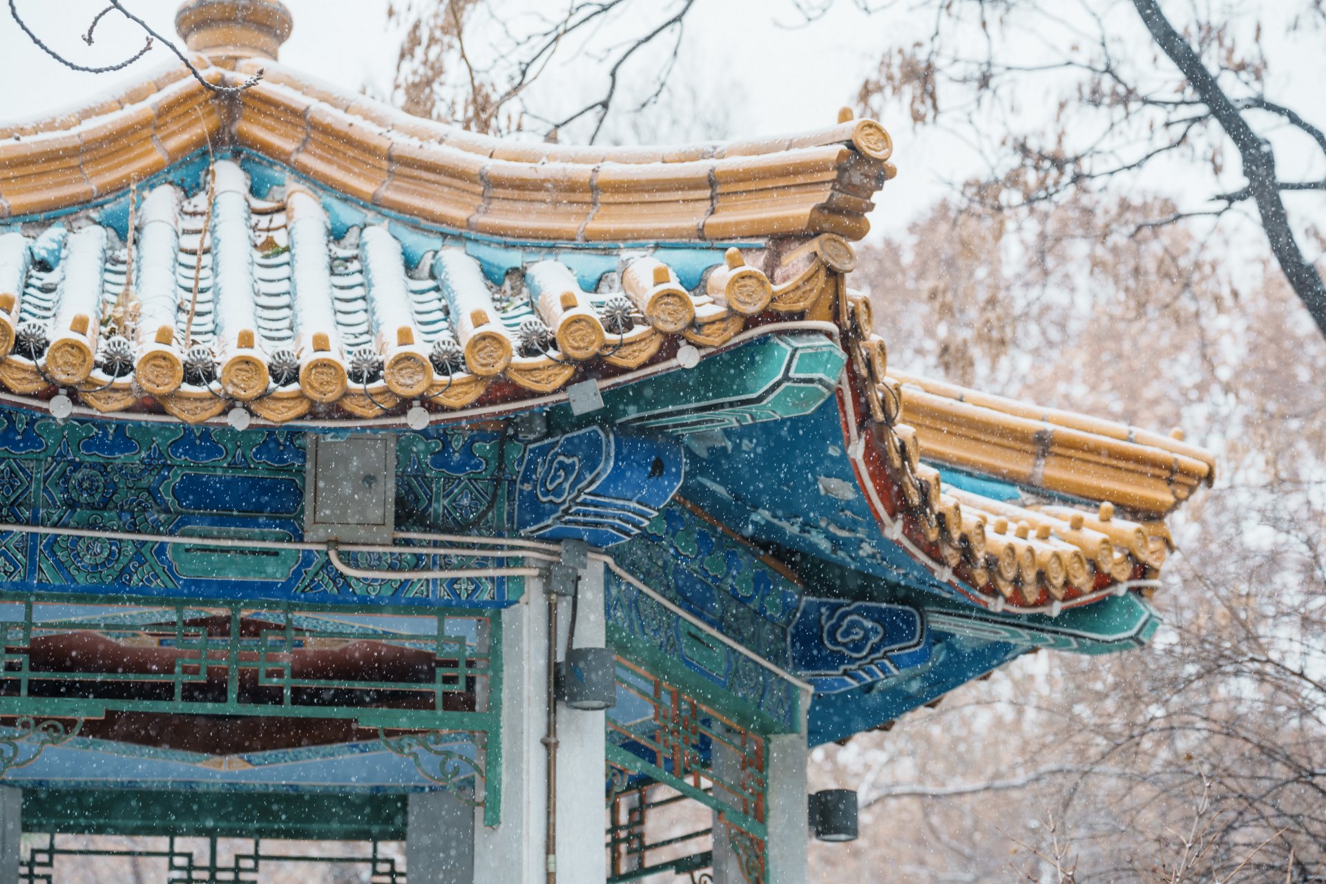 劲爆娱乐客户端