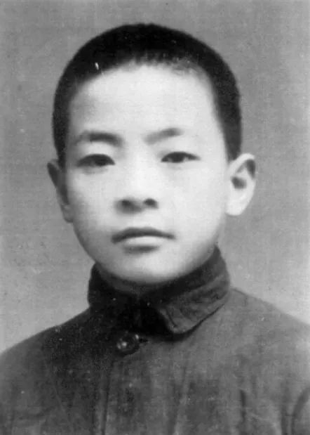 从战乱与动荡中走来
